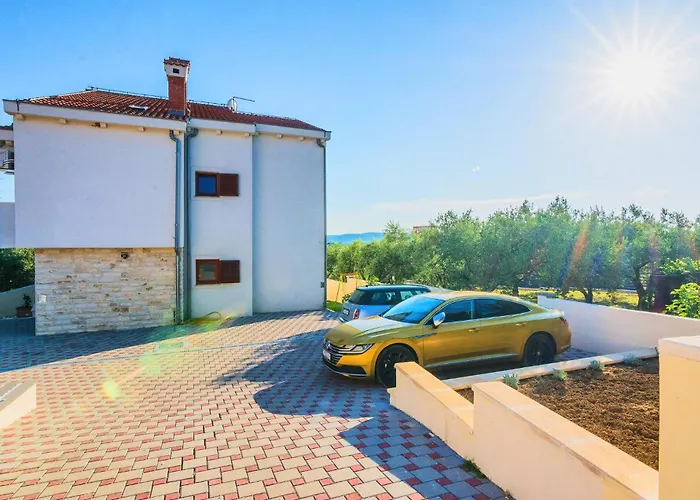 Amazing In Svfilip I Jakov *